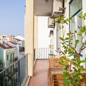 Estrela , Lisboa Portugal